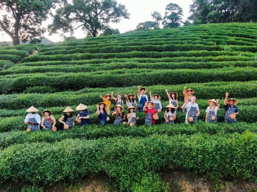 2026 Zhejiang Financial College International Summer School
